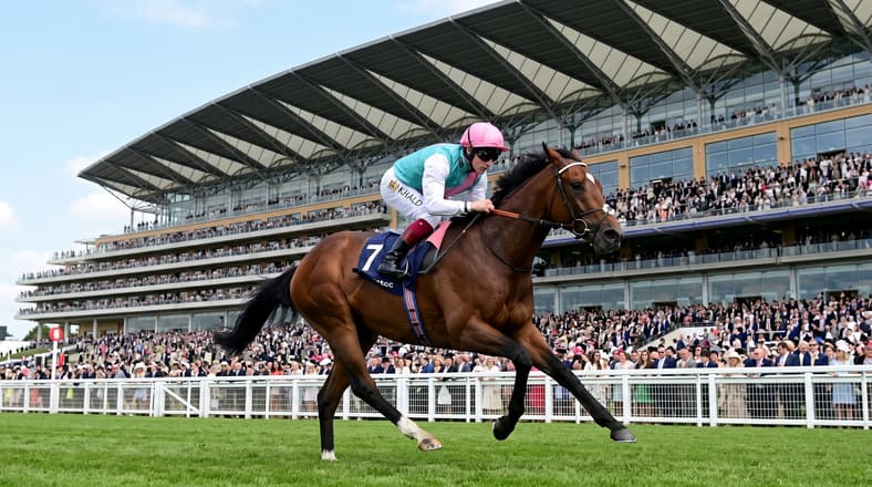 Frankel Racehorse