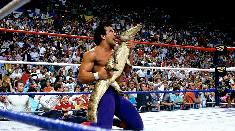 Greatest WWE Wrestlers Of The 1980s