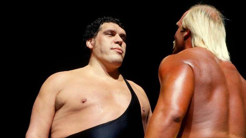 Greatest WWE Wrestlers Of The 1980s