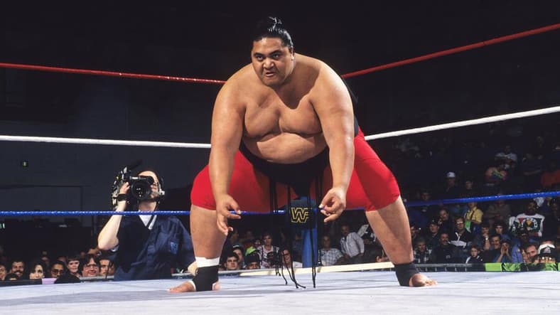 yokozuna