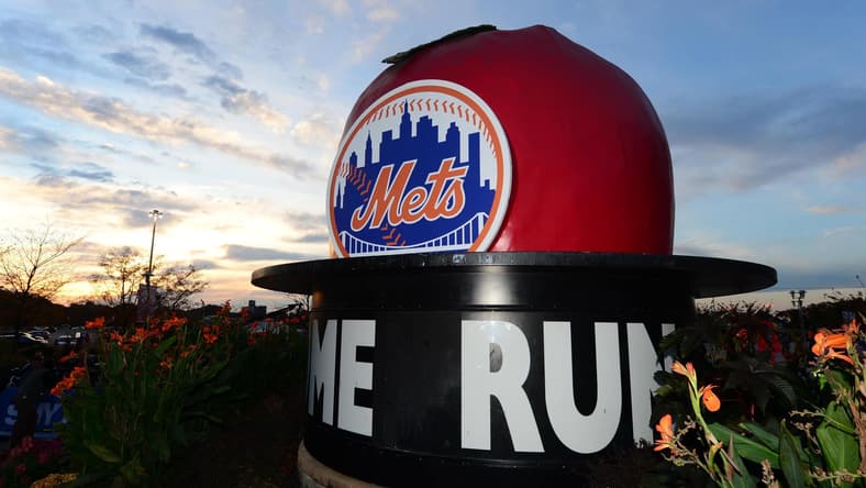 Mets fan