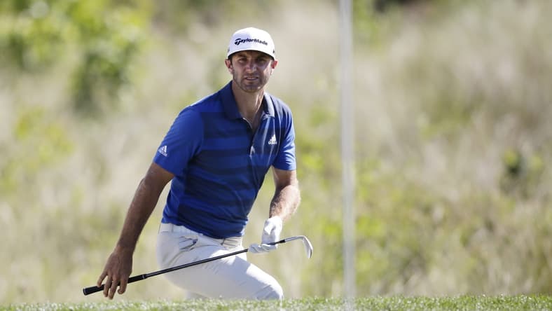 Dustin Johnson