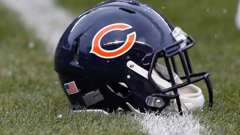 Bears