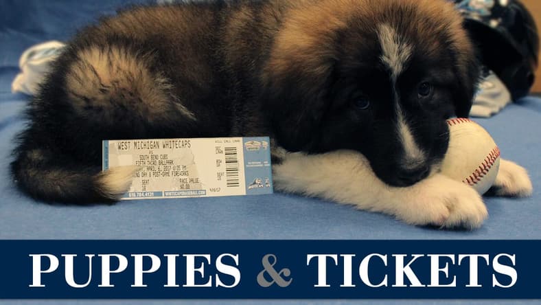 You can have your Opening Day tickets delivered to you by puppies. Really.