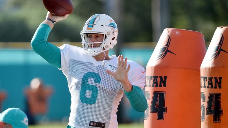 Miami Dolphins Jay Cutler NFL