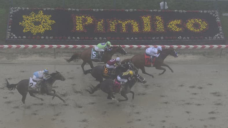 Justify wins the 2018 Preakness Stakes