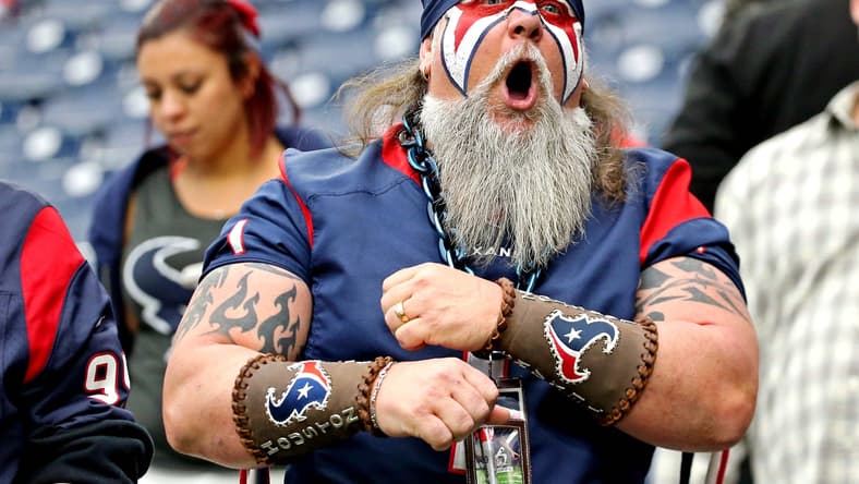 Texans fans