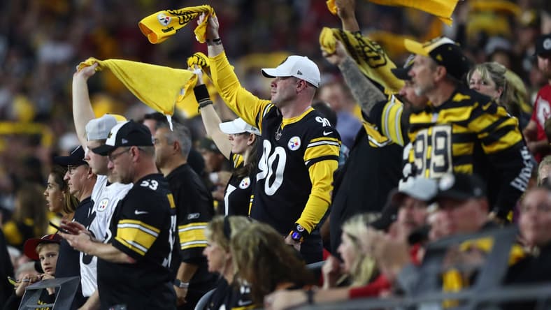 Pittsburgh Steelers fans at NFL game