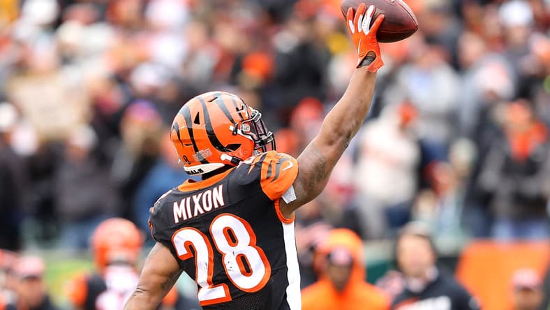 Cincinnati Bengals