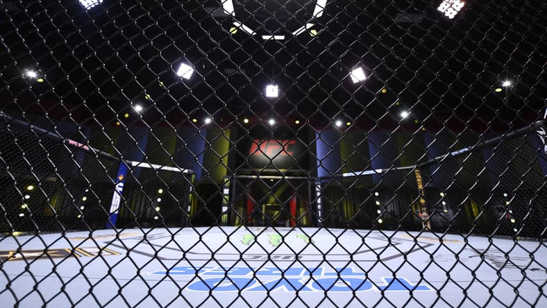 UFC Fight Night Las Vegas