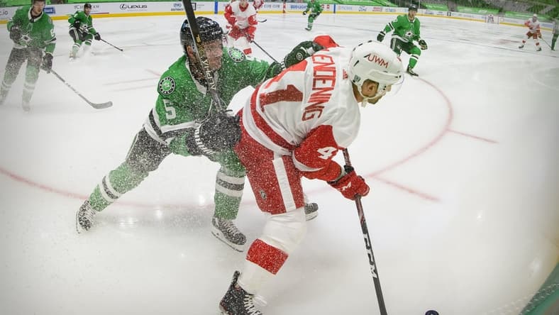 Jan 26, 2021; Dallas, Texas, USA; Dallas Stars defenseman Andrej Sekera (5) and Detroit Red Wings center Luke Glendening (41) fight for the puck during the first period at the American Airlines Center. Mandatory Credit: Jerome Miron-USA TODAY Sports
