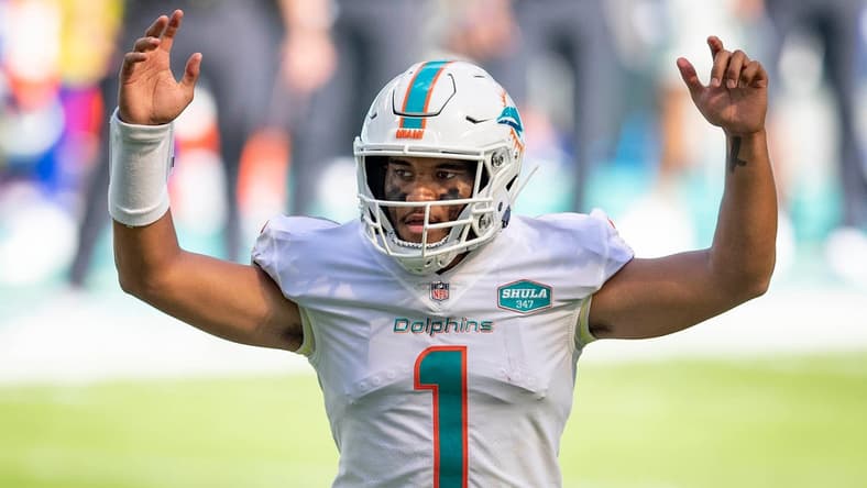 Dolphins vs Bears