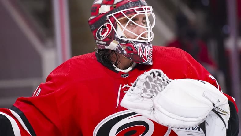 Feb 20, 2021; Raleigh, North Carolina, USA; Carolina Hurricanes goaltender Alex Nedeljkovic (39) looks on against the Tampa Bay Lightning during the third period at PNC Arena. Mandatory Credit: James Guillory-USA TODAY Sports