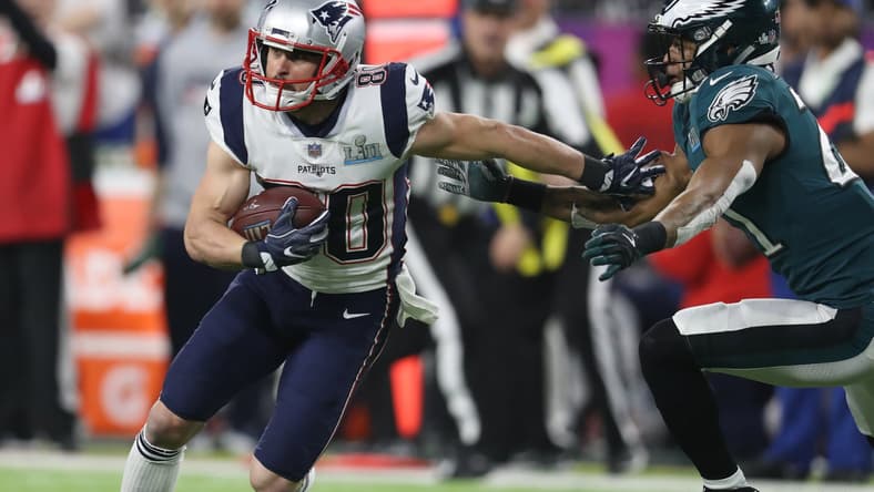 Patriots WR Danny Amendola, Bill Belichick