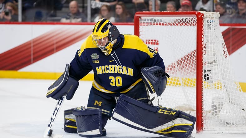 Apr 5, 2018; St. Paul, MN, USA; Michigan Wolverines goaltender Hayden Lavigne (30) makes a save in the second period against Notre Dame Fighting Irish in the 2018 Frozen Four college hockey national semifinals at Xcel Energy Center. Mandatory Credit: Brad Rempel-USA TODAY Sports