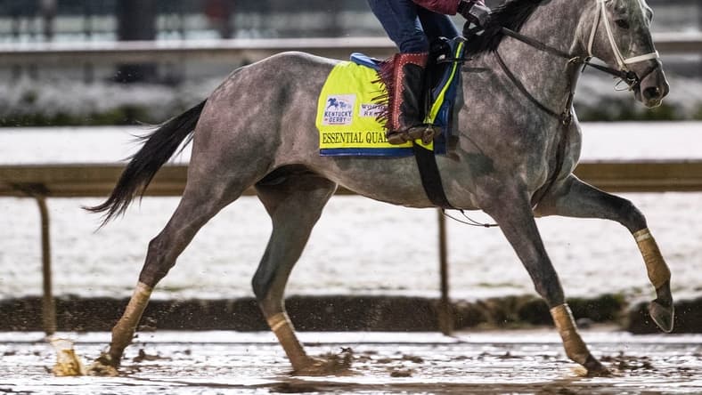 Kentucky Derby favorite Essential Quality gallops before dawn on the track at Churchill Downs. April 21, 2020
Af5i6154