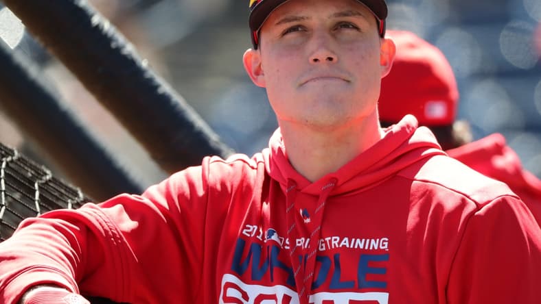 Mar 6, 2019; Tampa, FL, USA; St. Louis Cardinals left fielder Drew Robinson (33) works out prior to the game at George M. Steinbrenner Field. Mandatory Credit: Kim Klement-USA TODAY Sports