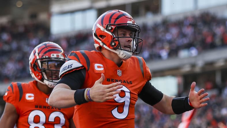 Nov 28, 2021; Cincinnati, Ohio, USA; Cincinnati Bengals quarterback Joe Burrow (9) reacts after scoring a touchdown against the Pittsburgh Steelers in the first half at Paul Brown Stadium. Mandatory Credit: Katie Stratman-USA TODAY Sports