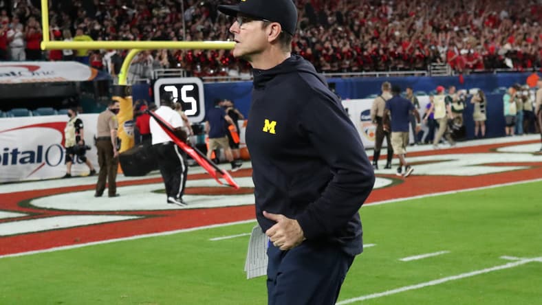 Jim Harbaugh, NFL return