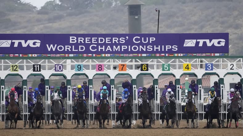breeders' cup