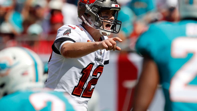 Miami Dolphins, Tom Brady