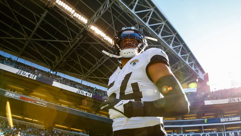 carolina panthers, damien wilson