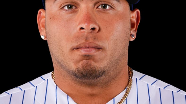 mets, francisco alvarez
