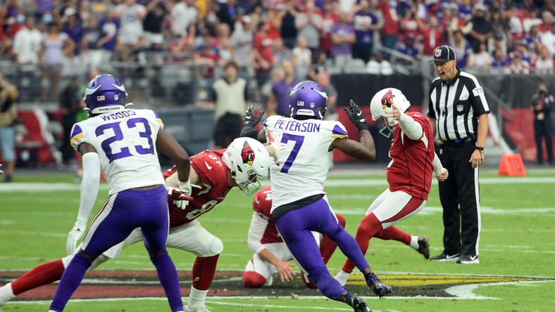 Minnesota Vikings