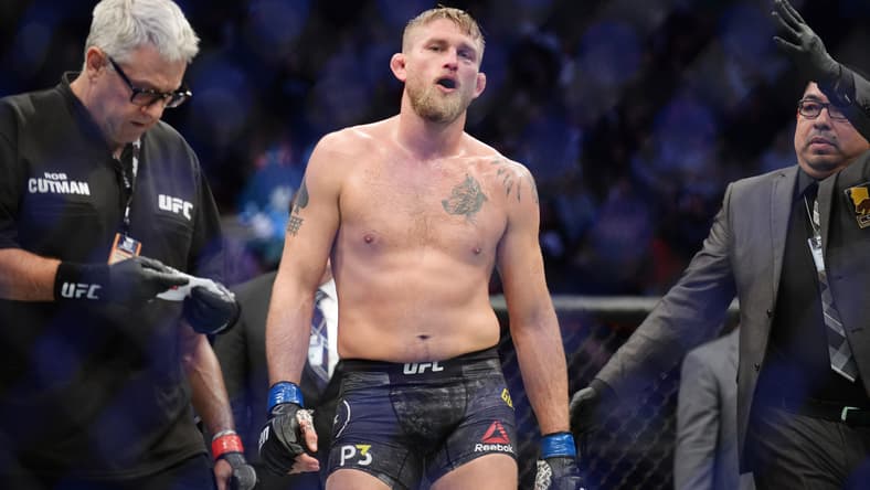 alexander gustafsson, nikita krylov, ufc