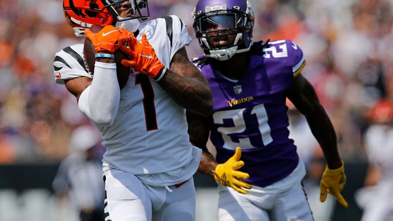 Minnesota Vikings