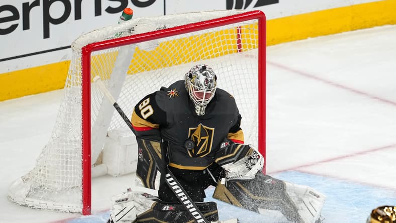 vegas golden knights
