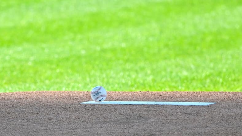 Minnesota Twins