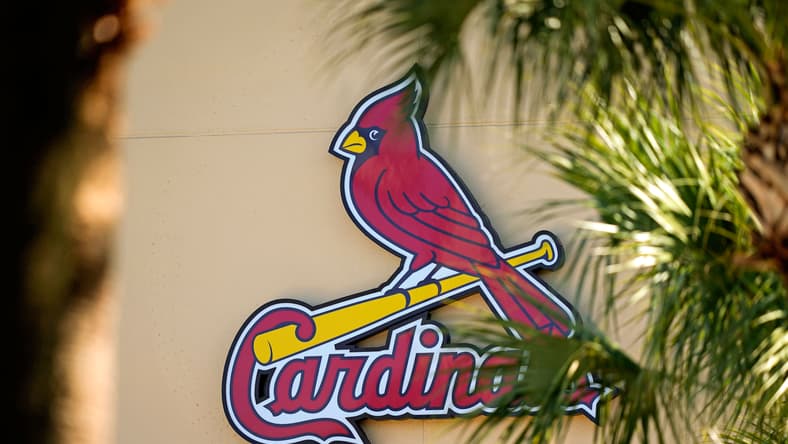 MLB: St. Louis Cardinals-Workouts
