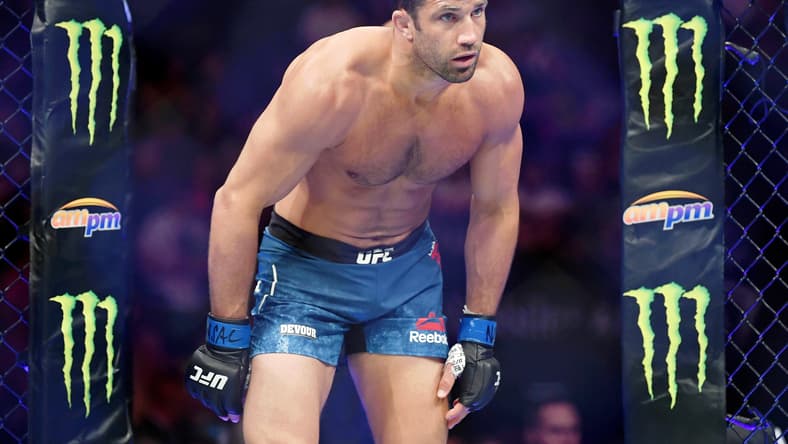 ufc 278, ufc