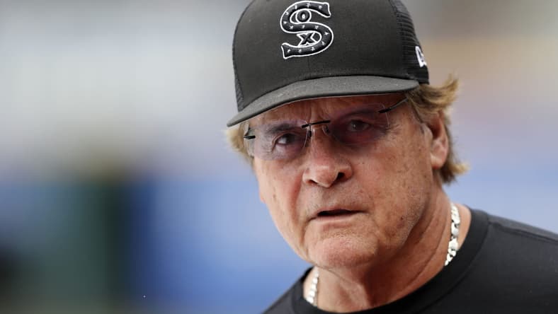 chicago white sox