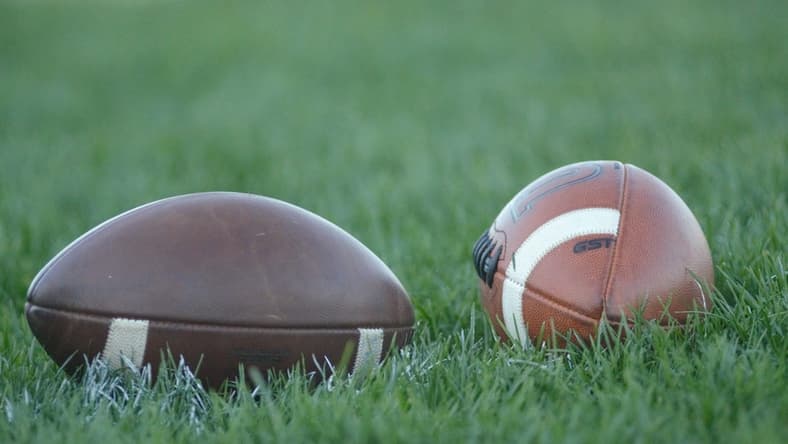 Loose footballs sit on the Traverse City West football field during the TC West 7-on-7 event on Tuesday, July 26.
Dsc 0251 2
