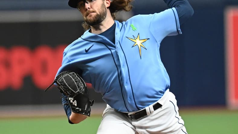May 1, 2022; St. Petersburg, Florida, USA; Tampa Bay Rays pitcher Josh Fleming (19) throws a pitch in the first inning against the Minnesota Twins at Tropicana Field. Mandatory Credit: Jonathan Dyer-USA TODAY Sports