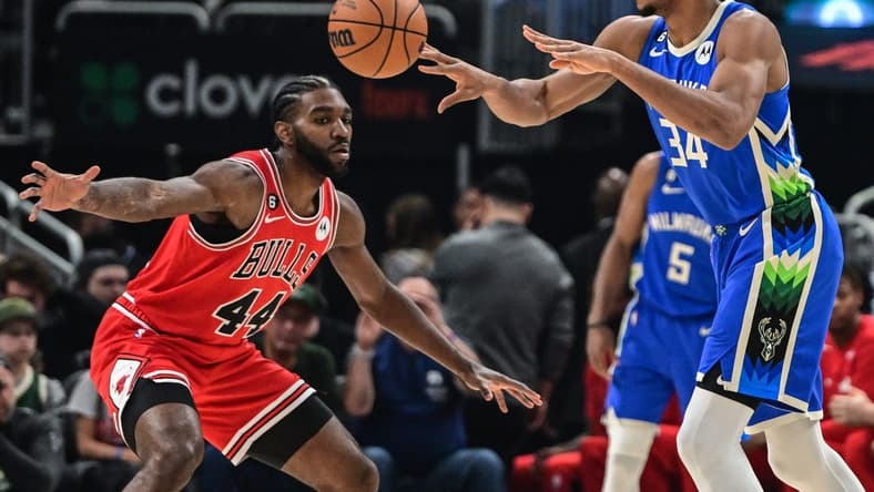 Nov 23, 2022; Milwaukee, Wisconsin, USA; Milwaukee Bucks forward Giannis Antetokounmpo (34) gets a pass away from Chicago Bulls forward Patrick Williams (44) in the first quarter at Fiserv Forum. Mandatory Credit: Benny Sieu-USA TODAY Sports