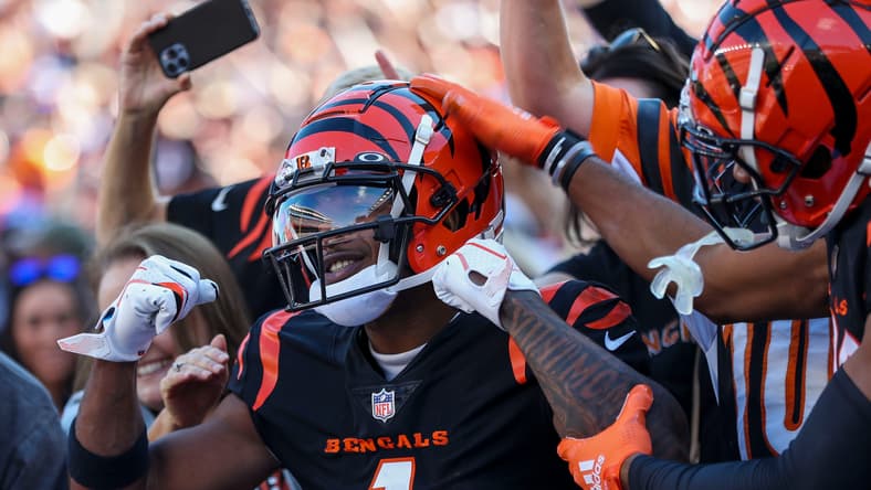 NFL: Atlanta Falcons at Cincinnati Bengals