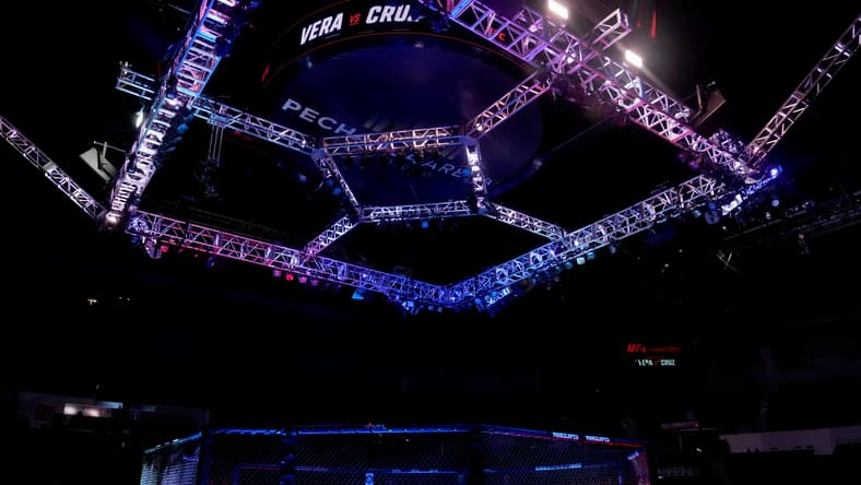 anthony johnson, ufc
