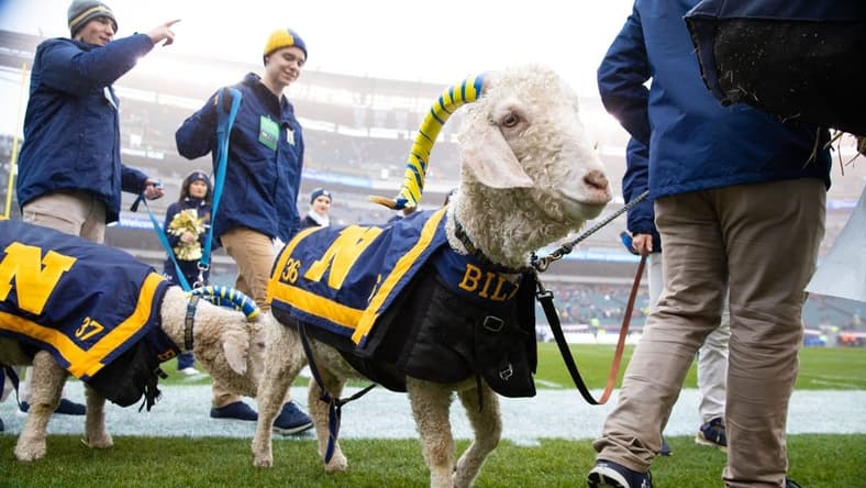 Dec 14, 2019; Philadelphia, PA, USA; Navy mascot on the field during pregame ceremonies before the Army Navy game between the Army Black Knights and the Navy Midshipmen at Lincoln Financial Field. Mandatory Credit: Bill Streicher-USA TODAY Sports