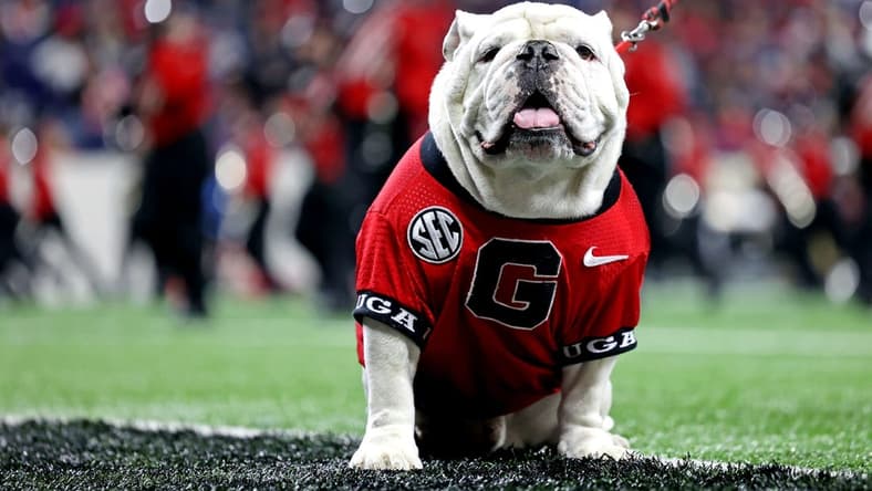 Jan 10, 2022; Indianapolis, IN, USA; The Georgia Bulldogs mascot Uga on the sideline during the first half in the 2022 CFP college football national championship game between the Alabama Crimson Tide and the Georgia Bulldogs at Lucas Oil Stadium. Mandatory Credit: Trevor Ruszkowski-USA TODAY Sports