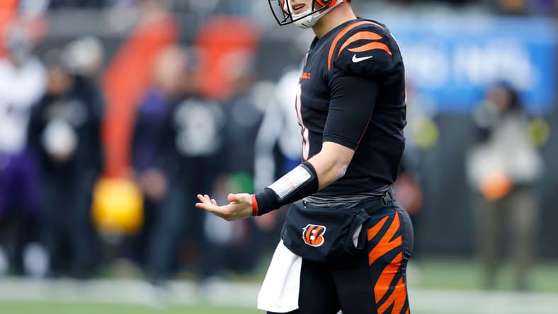 NFL: Baltimore Ravens at Cincinnati Bengals