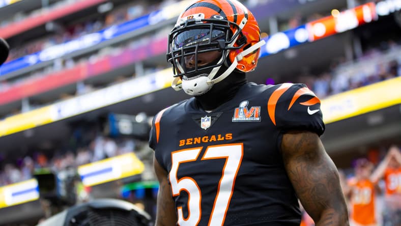 cincinnati bengals