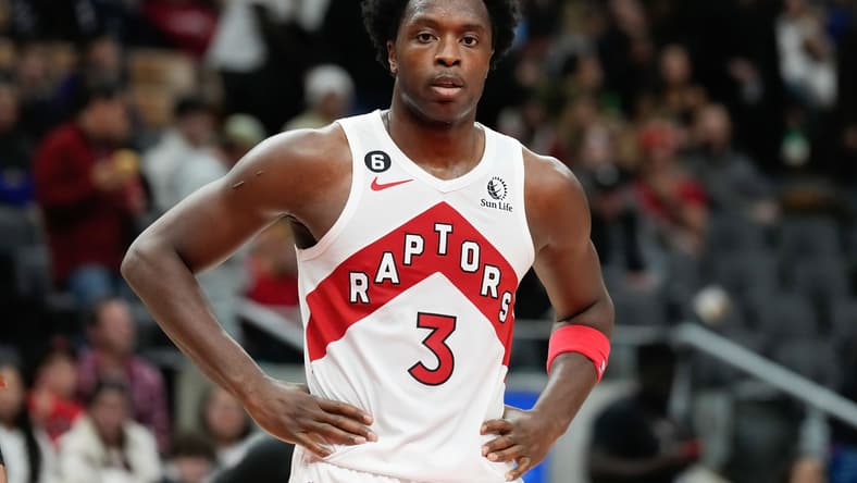 toronto raptors