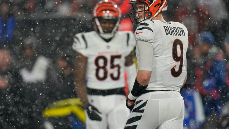 joe burrow, cincinnati bengals