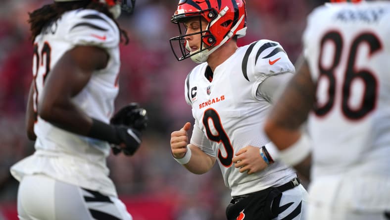 joe burrow nfl mvp