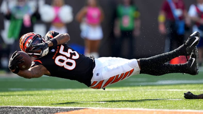 Cincinnati Bengals wide receiver Tee Higgins (85) stretches for the end zone in the fourth quarter during a Week 7 NFL game against the Atlanta Falcons, Sunday, Oct. 23, 2022, at Paycor Stadium in Cincinnati.

Nfl Atlanta Falcons At Cincinnati Bengals
