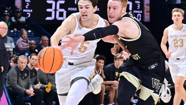 Feb 4, 2023; South Bend, Indiana, USA; Wake Forest Demon Deacons guard Cameron Hildreth (2) attempts to steal the ball from Notre Dame Fighting Irish guard Cormac Ryan (5) in the second half at the Purcell Pavilion. Mandatory Credit: Matt Cashore-USA TODAY Sports