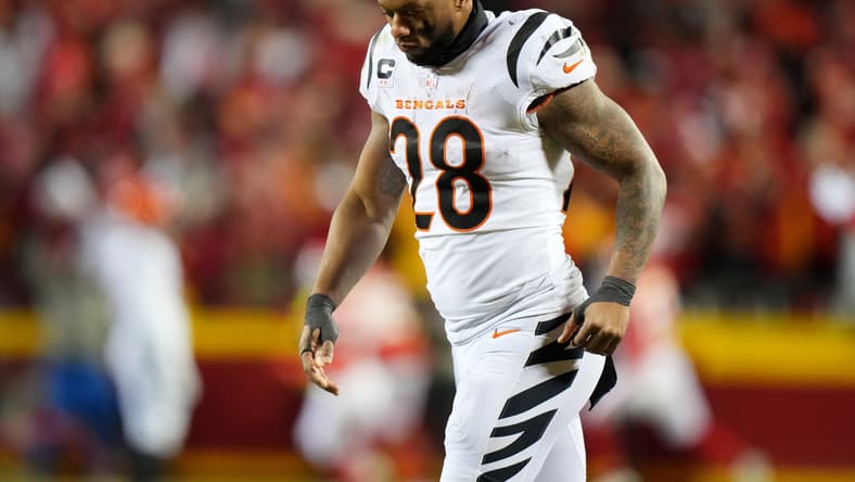 Joe Mixon